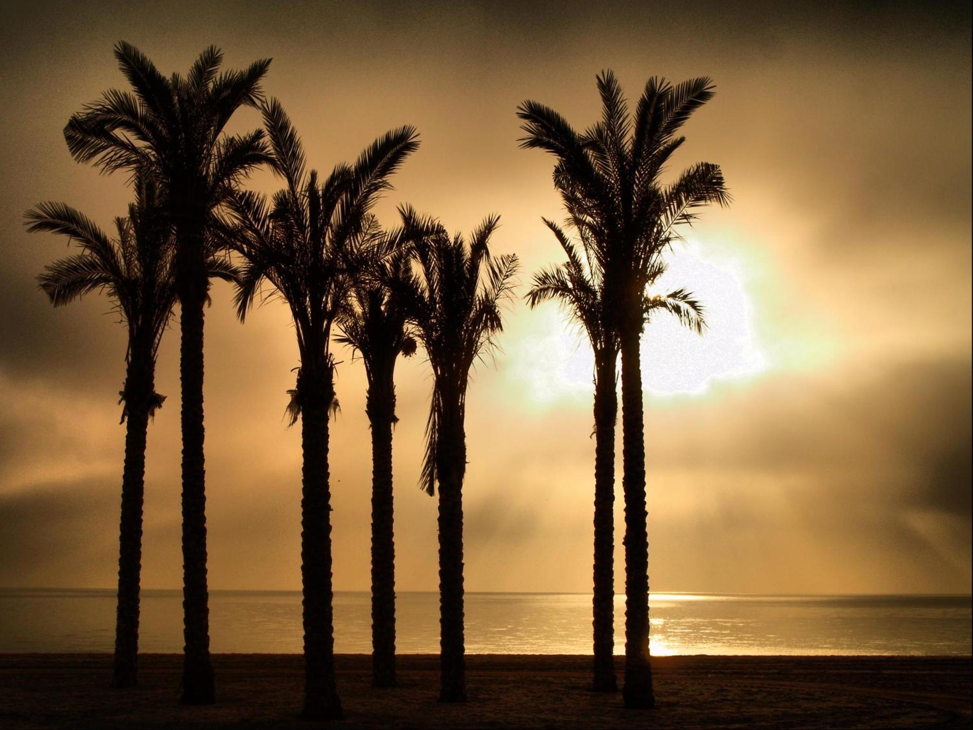 רוקאוטס דה מר Apartamentos Estrella De Mar מראה חיצוני תמונה